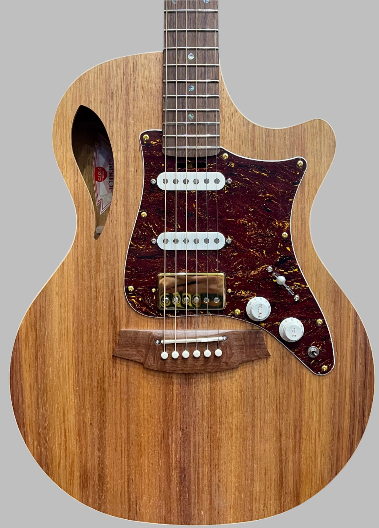 Cole Clark TL2EC True Hybrid Thinline Blackwood HSS - B Stock