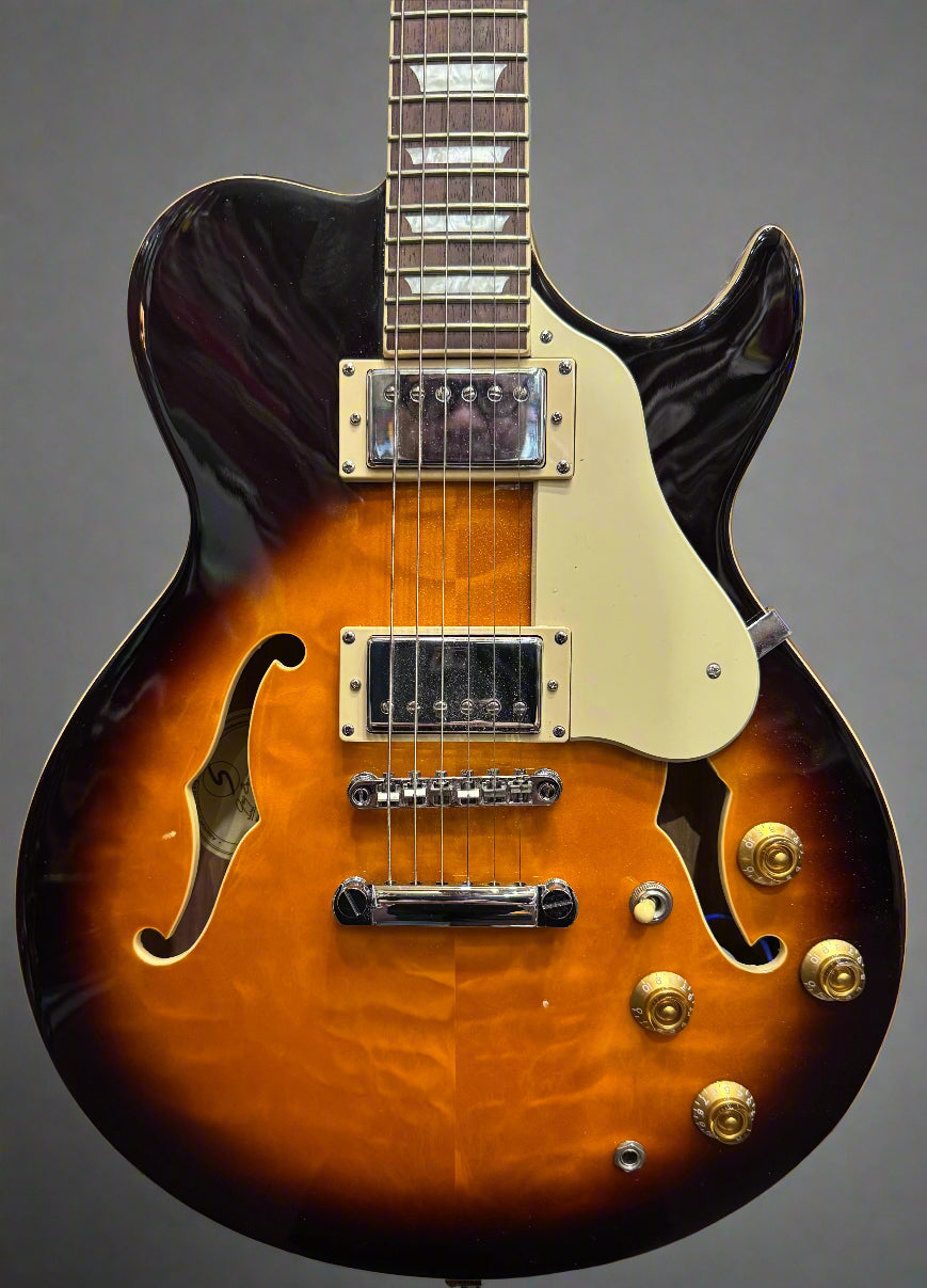 Samick Greg Bennett RL3 Hollowbody Electric Guitar - Sunburst - Pre-Loved