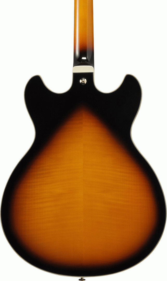Ibanez AS113 BS Artcore Hollowbody - Brown Sunburst