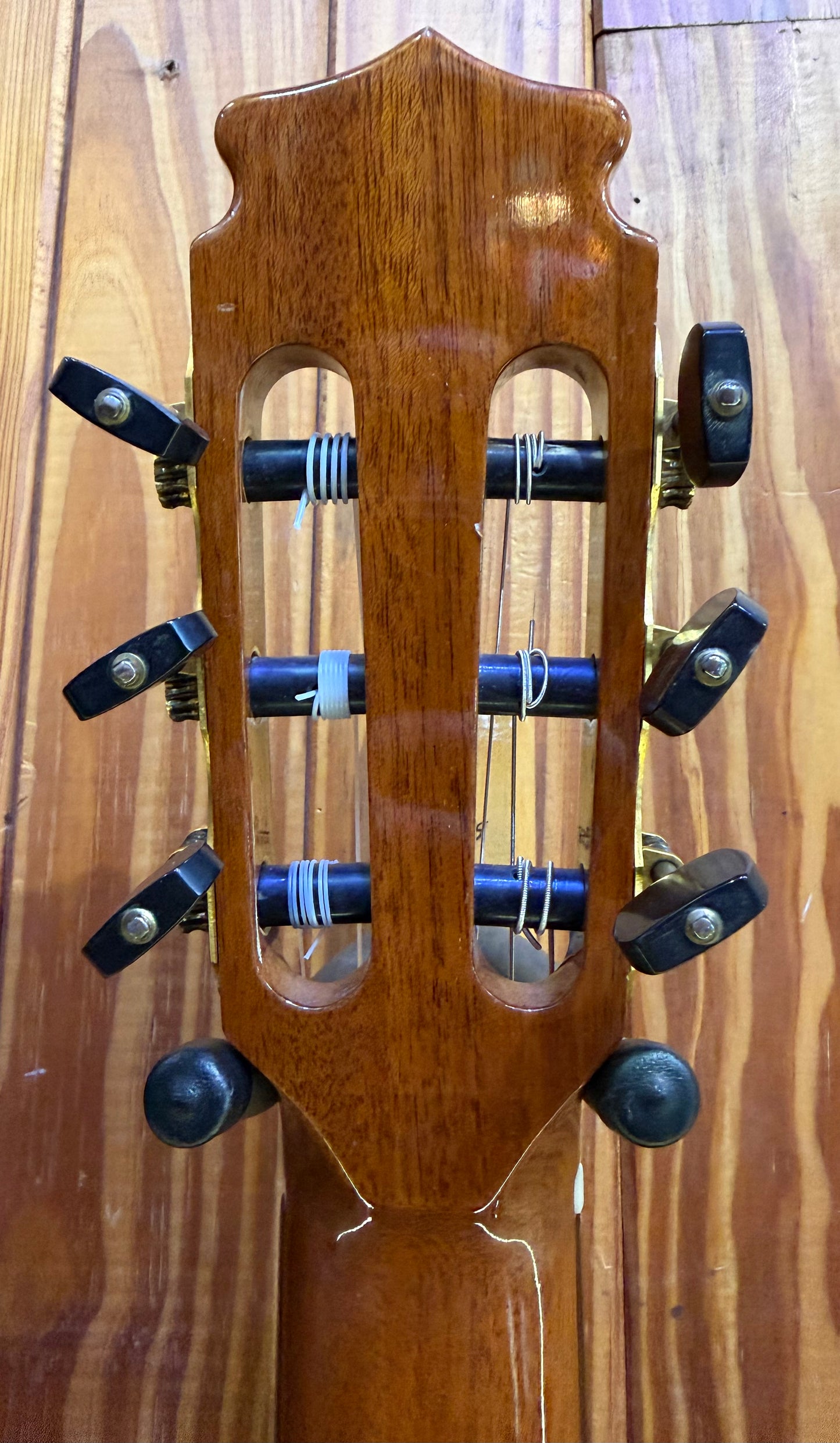 Litchfield C600 Cedar/Spruce Classical Guitar - Pre-Loved