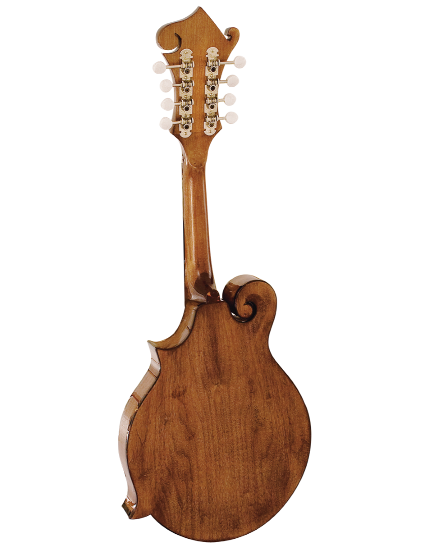 Barnes & Mullins BM650 Salvino Mandolin