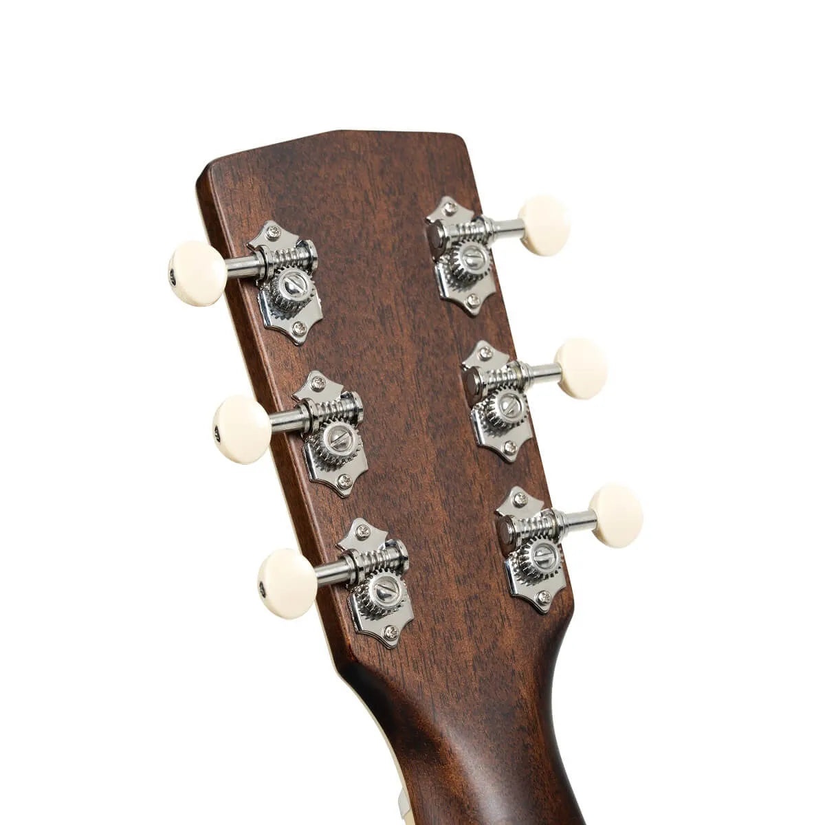 Cort Exotic-SFX Acoustic Guitar - Myrtlewood Sunburst