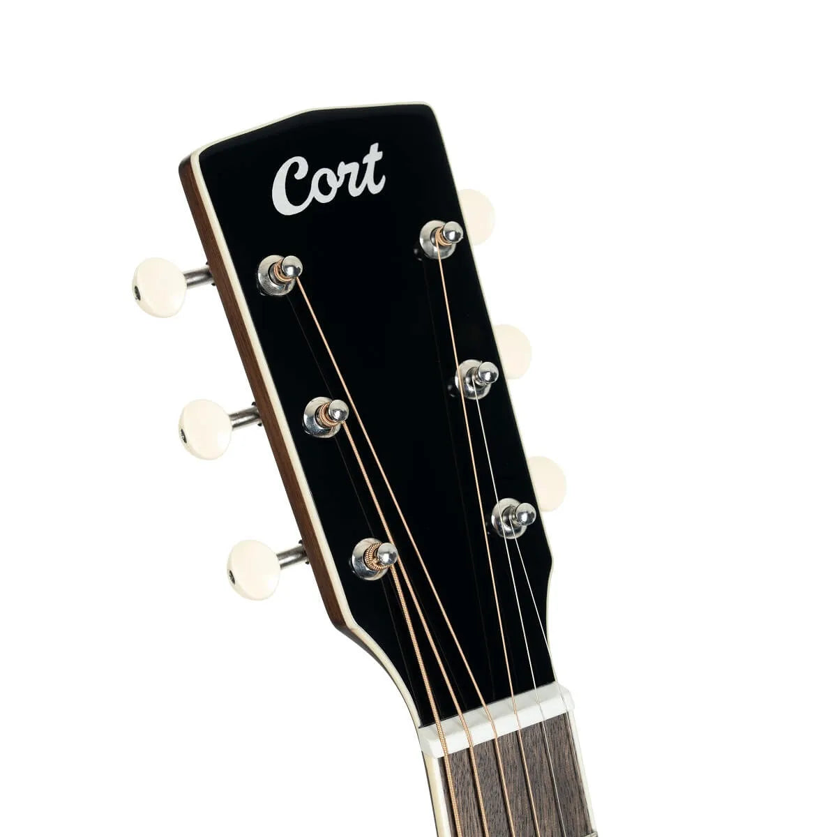 Cort Exotic-SFX Acoustic Guitar - Walnut Sunburst
