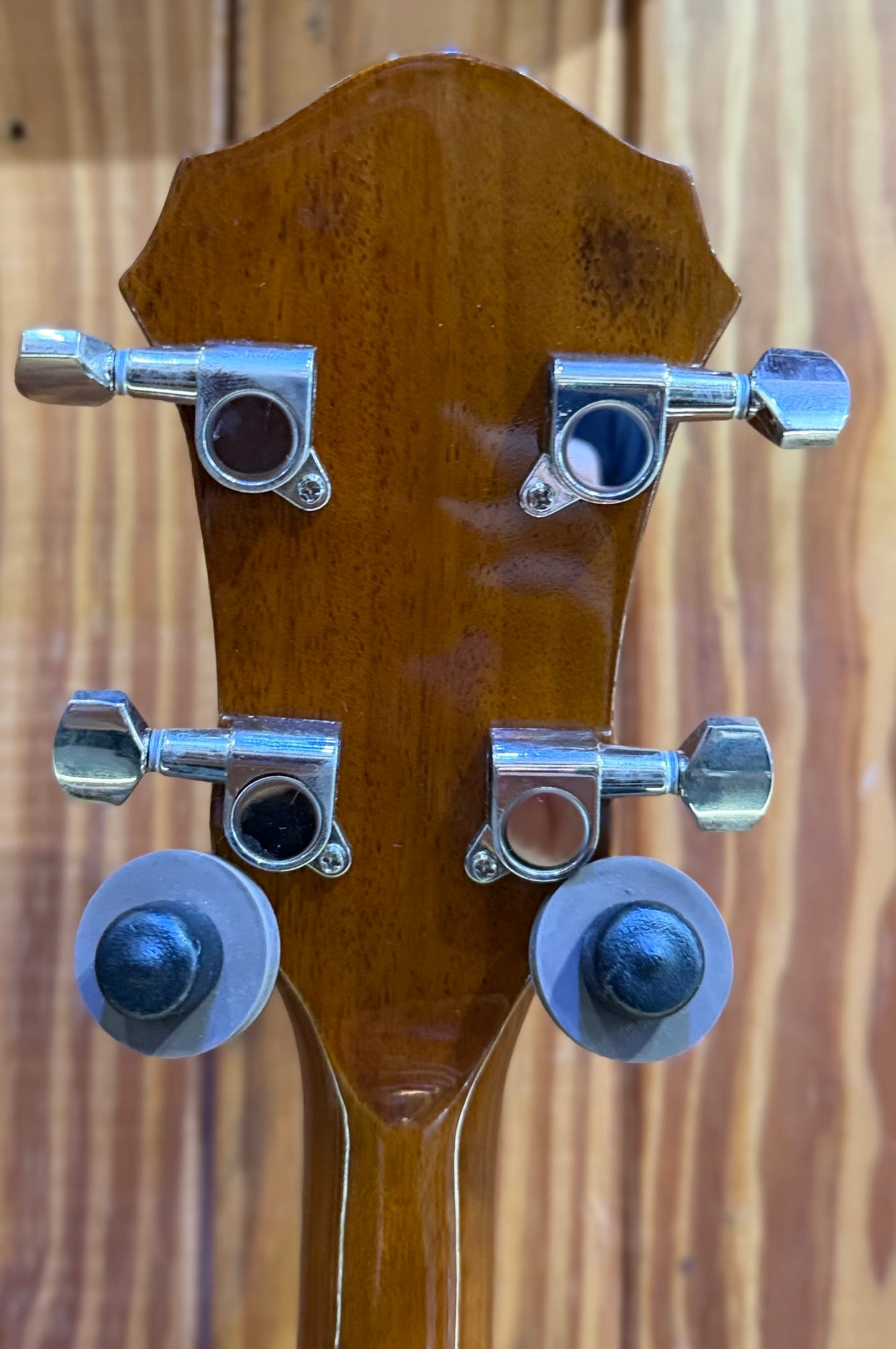 Rover RB-20 Open Back Banjo - 5-String - Pre-Loved