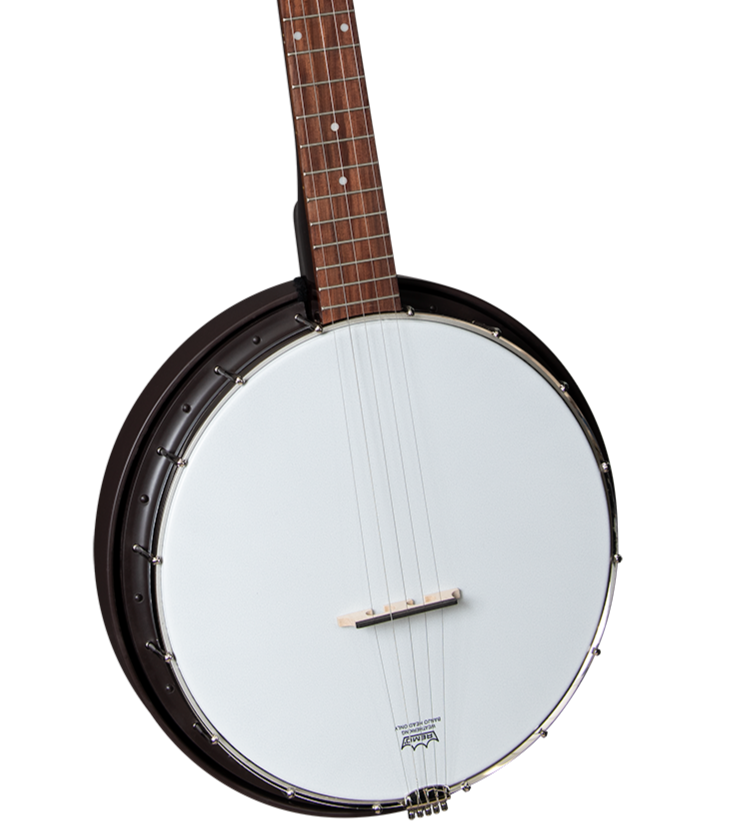 Flint hill special banjo deals