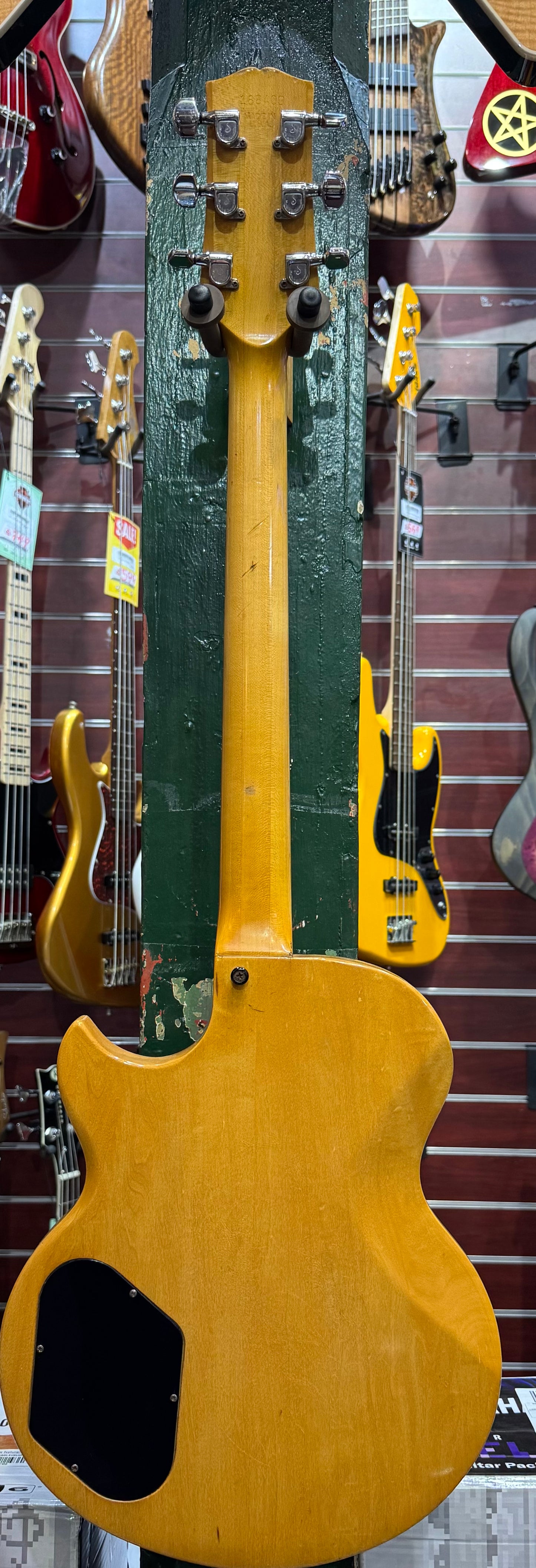 Gibson L6-S '73-'74 All Maple Electric Guitar - Pre-Loved