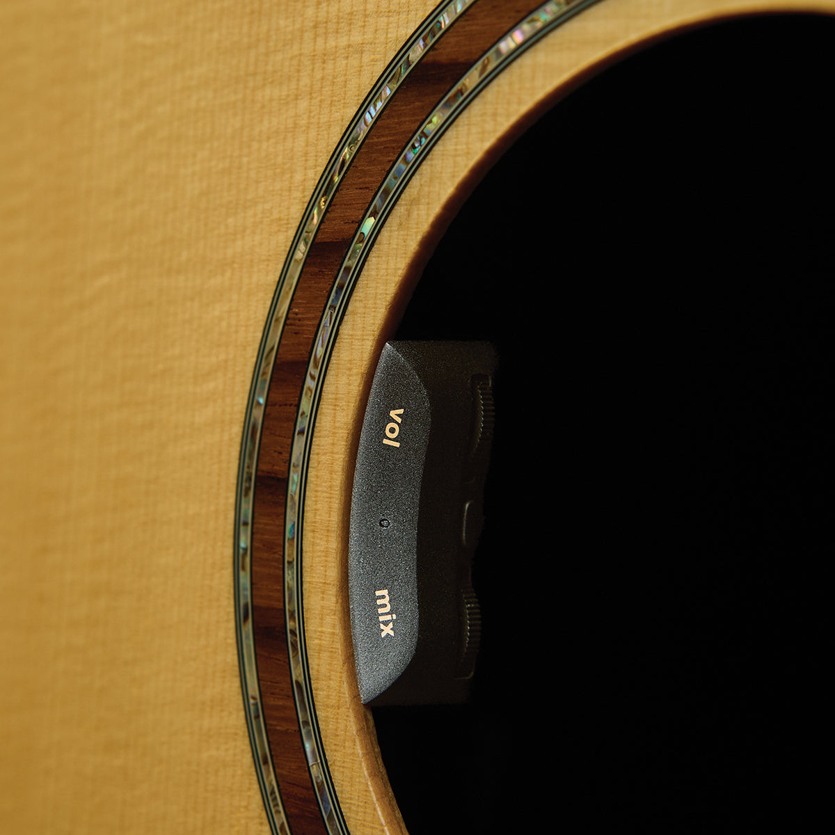 LR Baggs HiFi HiFi Duet Acoustic Pickup