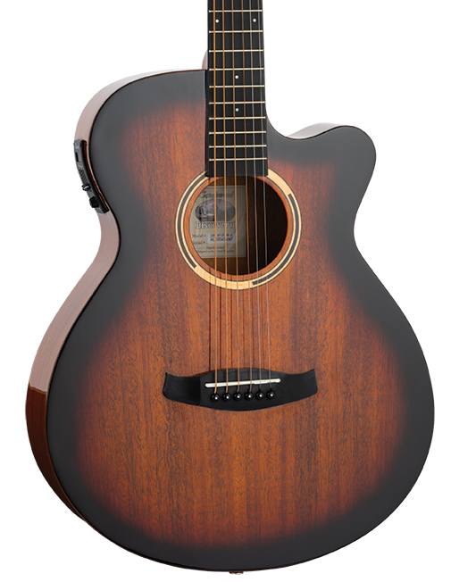 Tanglewood TDBTSFCESBG Discovery Superfolk - Superfolk