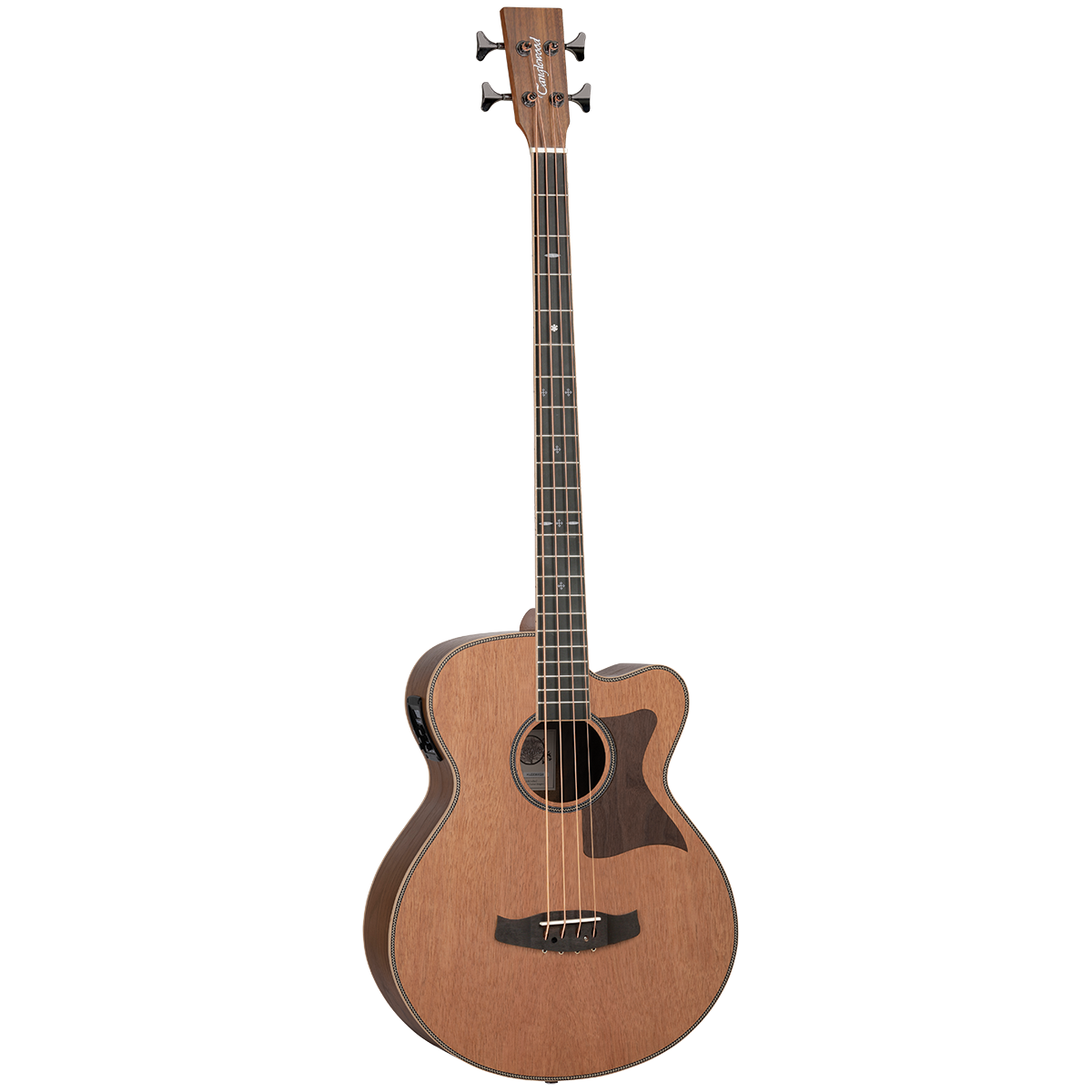 Tanglewood TRABBW Reunion Super Jumbo Acoustic Bass - Red Cedar/Black Walnut