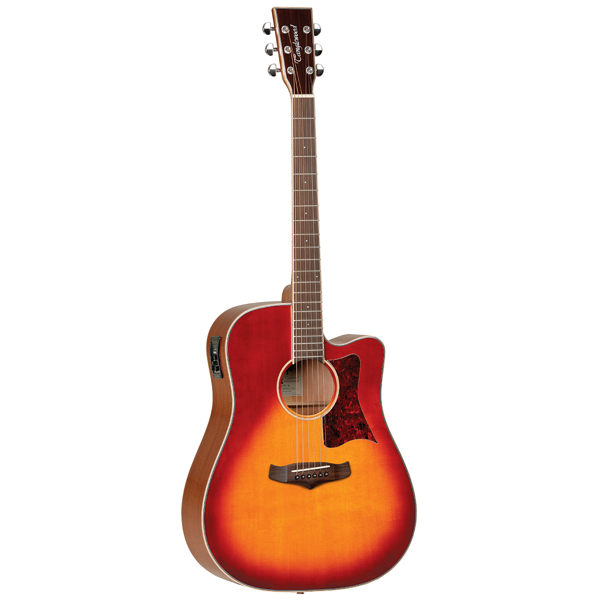 Tanglewood TW5SB Winterleaf Dreadnought Cutaway - Solid Top - Sunburst