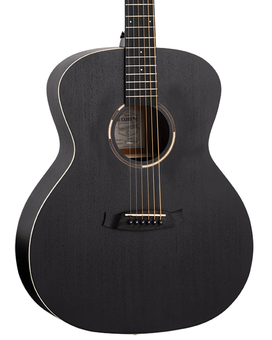 Tanglewood TWBBOLH Blackbird Orchestra - Smokestack Satin - Left Handed