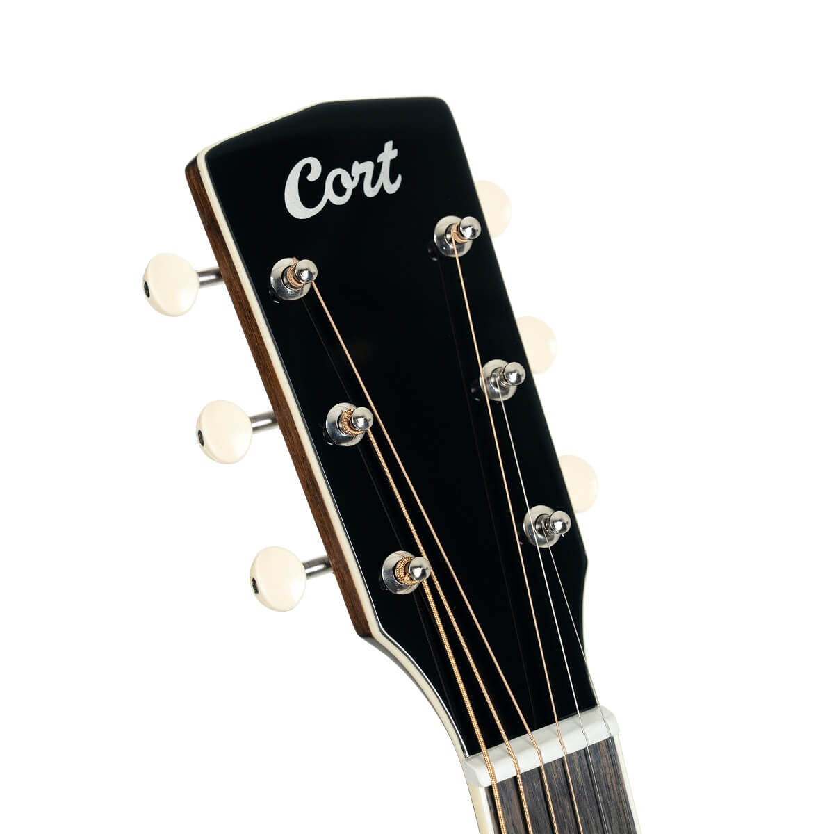 Cort Exotic-SFX Acoustic Guitar - Ash - Black