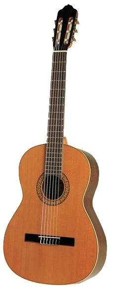 Esteve 1CD Cedar Top Classical Guitar