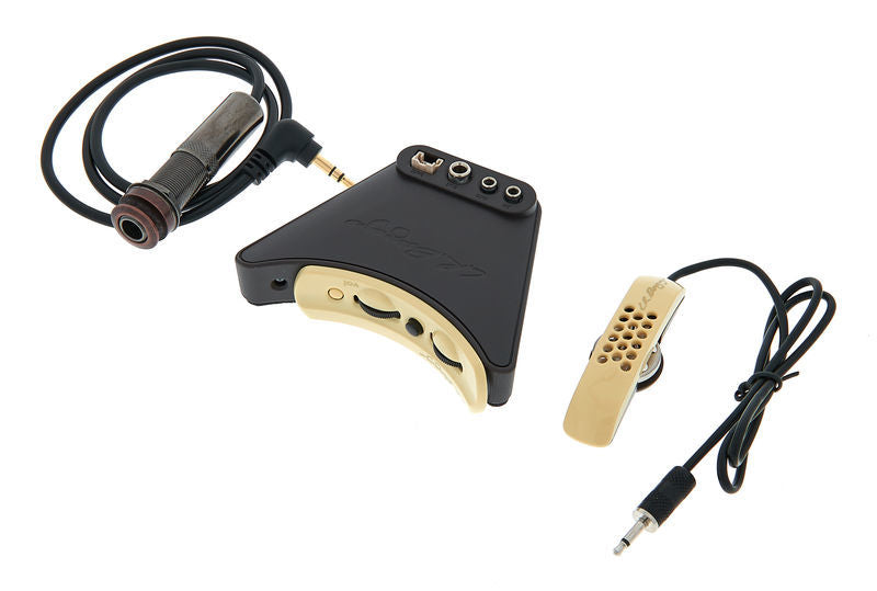 LR Baggs Anthem Tru Mic & Element Acoustic Guitar Pickup