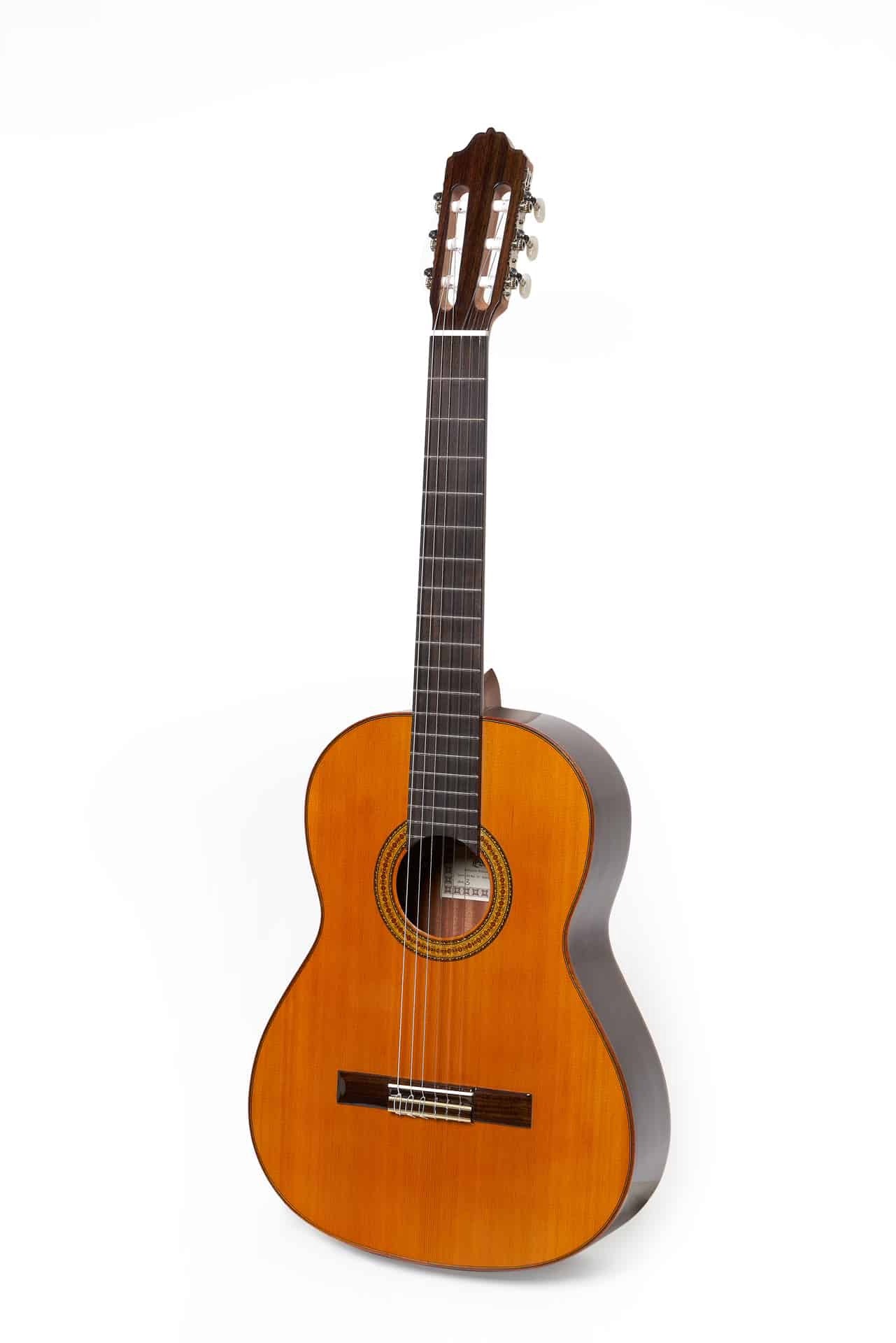 Esteve 3SP Classical Guitar - Spruce Top