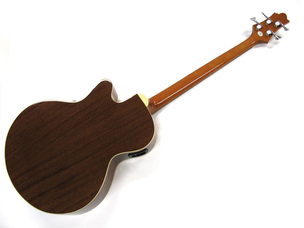 SAMICK GREG BENNETT SIGNATURE ACOUSTIC BASS GUITAR