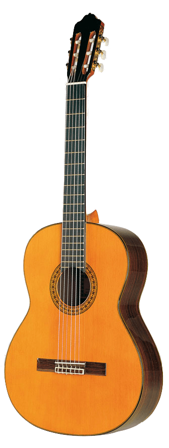 Esteve 8CD - Cedar Top Classical Guitar