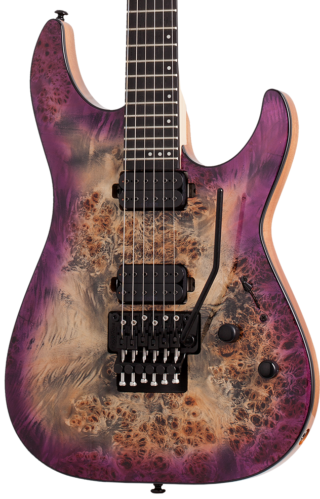 Schecter floyd rose special deals