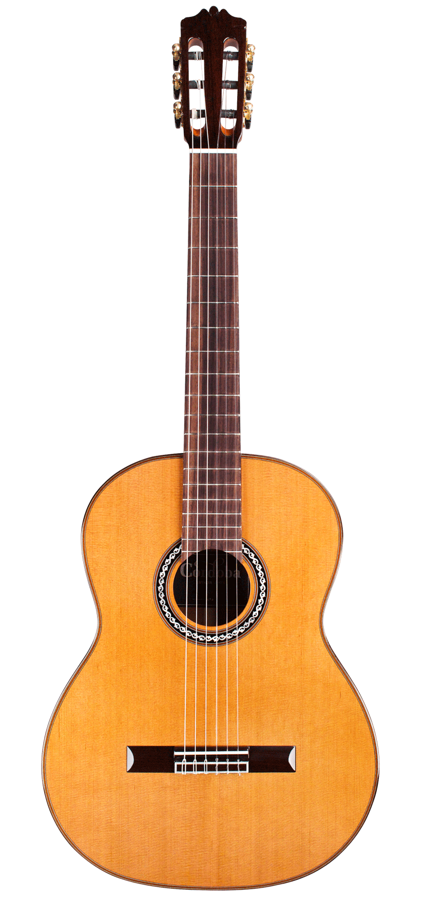 Cordoba C9 CD All Solid Cedar & Rosewood Classical Guitar