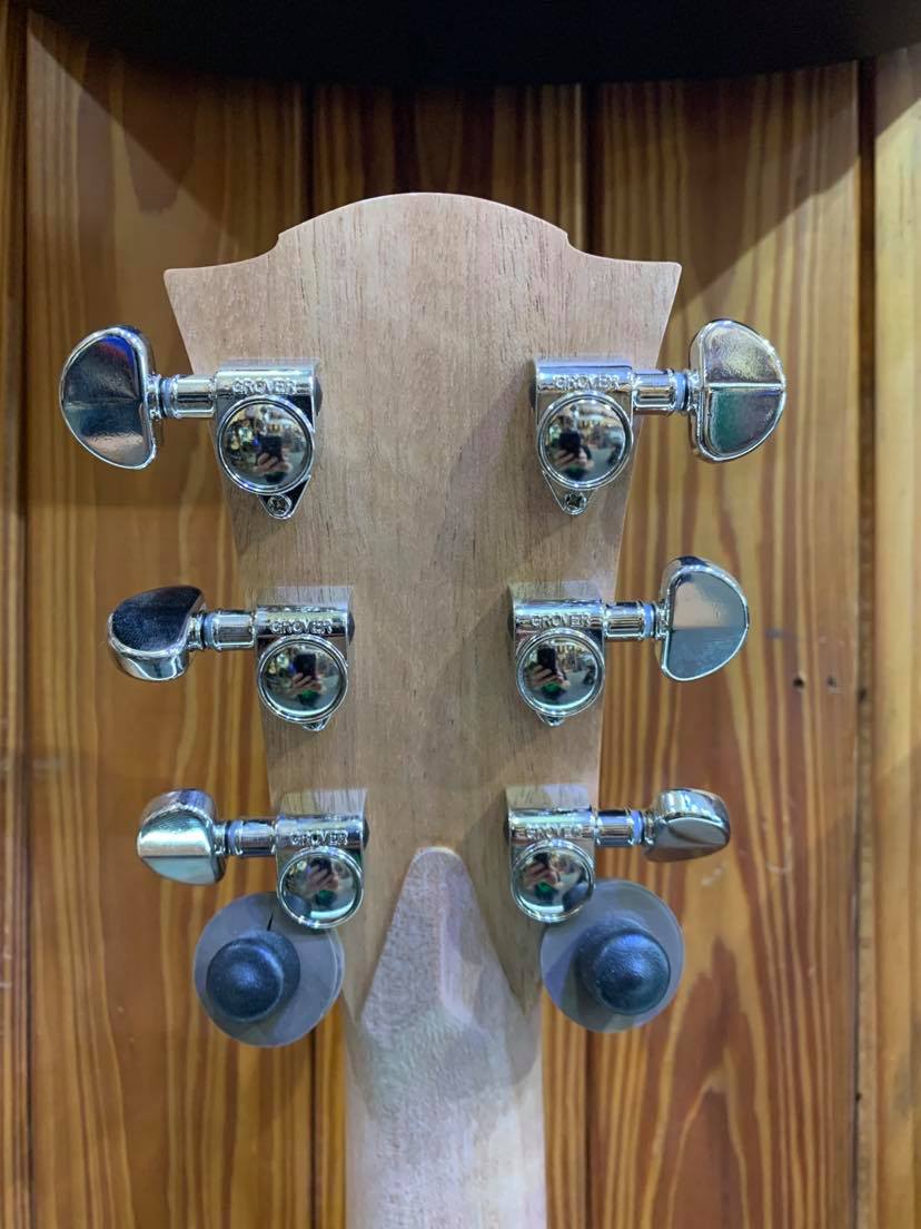 Cole Clark Fat Lady 2EC - Bunya Top/Blackwood Back & Sides