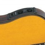 Gitane DG-455 Professional Thin Body Electric