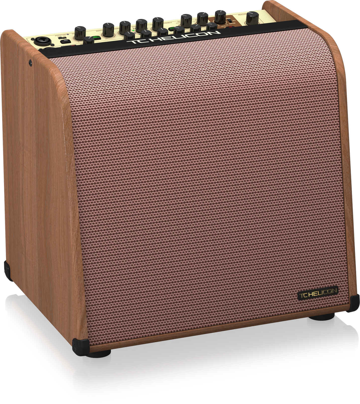TC Helicon Harmony V100 Acoustic Amplifier