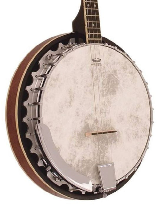 Barnes & Mullins 304GT "Perfect" 4-String Gaelic Banjo