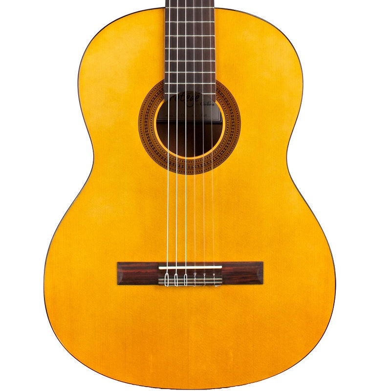 Cordoba Protege C1 Classical Guitar