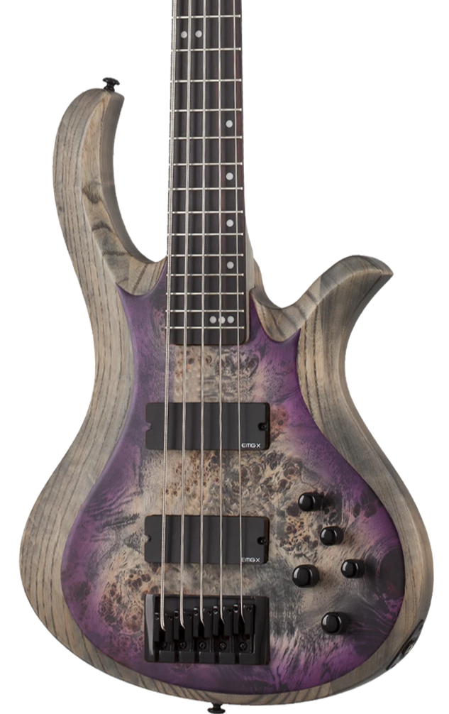 SCHECTER RIOT-5 BASS