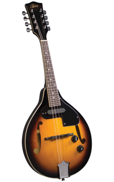Rover RM-25E A-Style Teardrop Mandolin