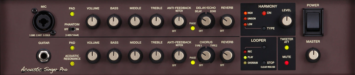 Boss Acoustic Singer Pro Amplifier