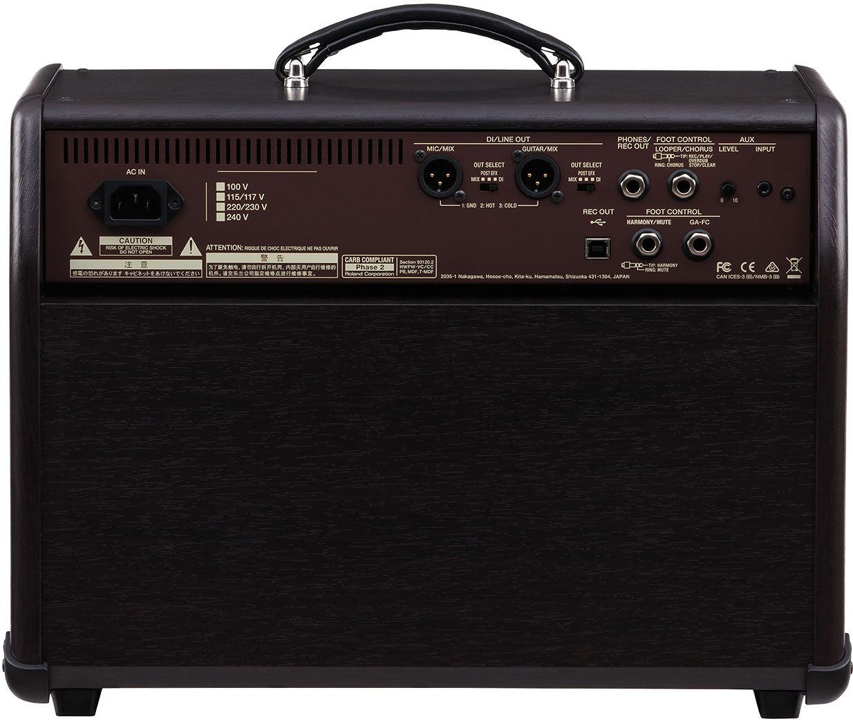 Boss Acoustic Singer Pro Amplifier