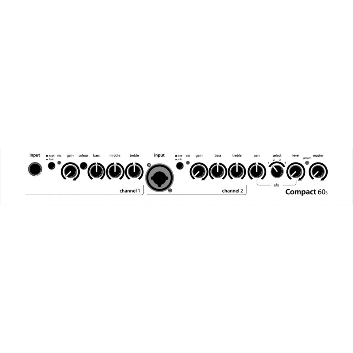 AER Compact 60 Acoustic Guitar Amplifier