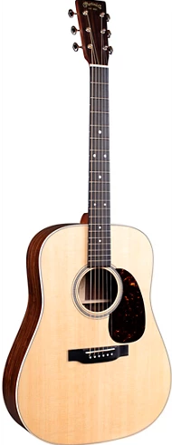 Martin & Co D-16E - Dreadnought - Rosewood w/ Pickup