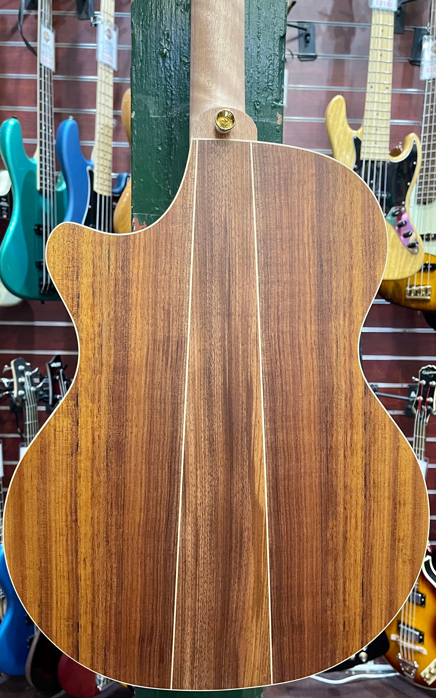 Cole Clark AN2EC Angel 2 Blackwood With Humbucker
