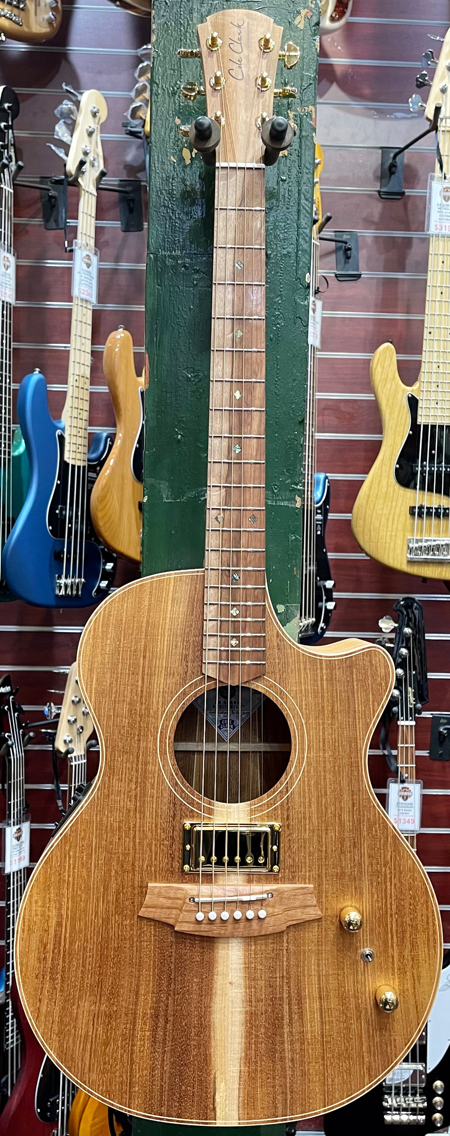 Cole Clark AN2EC Angel 2 Blackwood With Humbucker