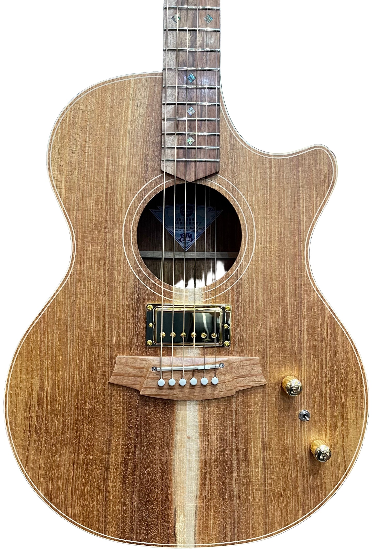 Cole Clark Angel 2 Blackwood guitar with a natural satin finish, featuring a Lollar Imperial humbucker, displayed in a store among other string instruments.
