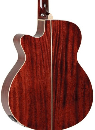 Tanglewood TW4 BLB Winterleaf Superfolk w/ Pickup - Barossa Red Gloss
