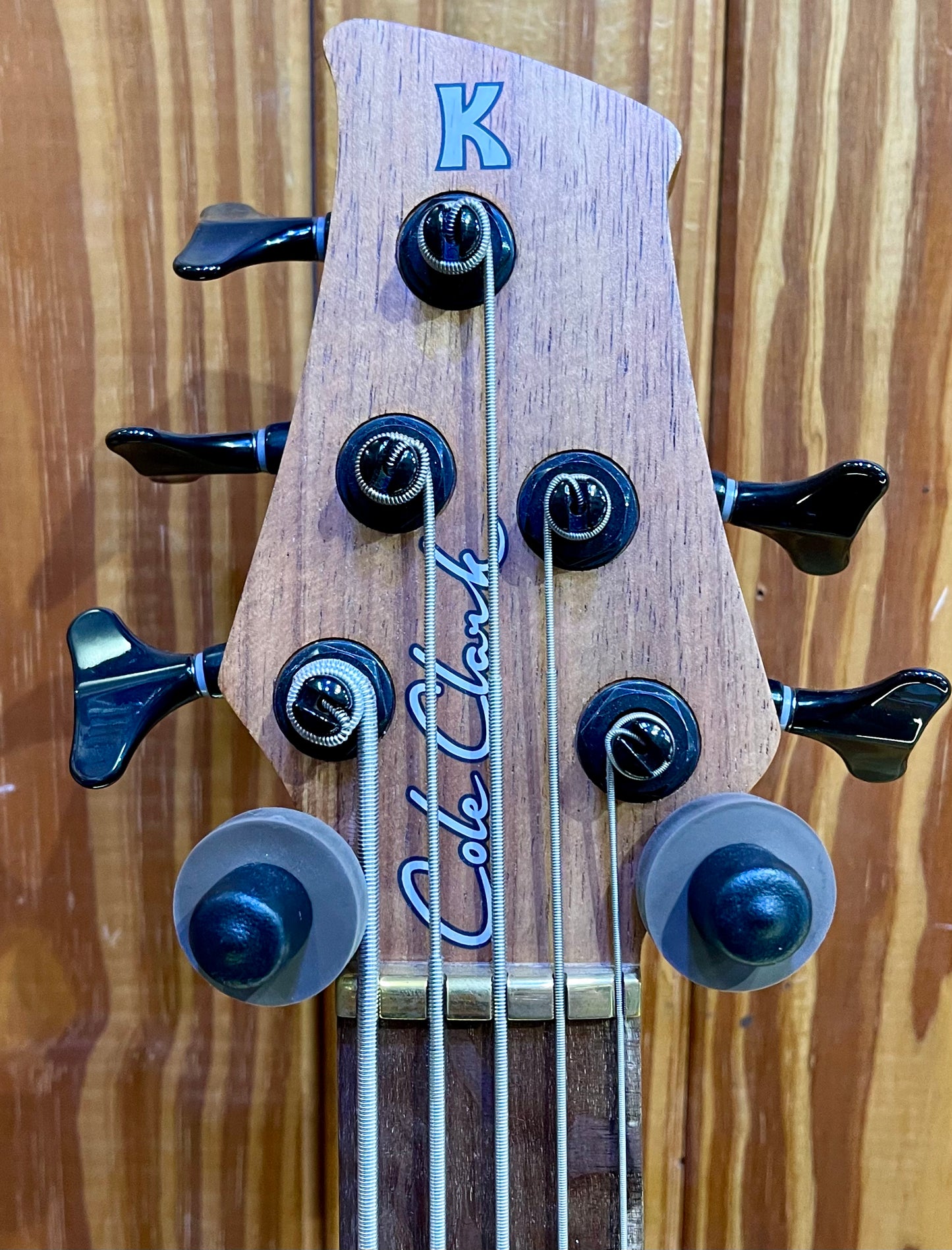 Cole Clark LLB5 Long Lady - Figured Mountain Ash Bass - 5-String