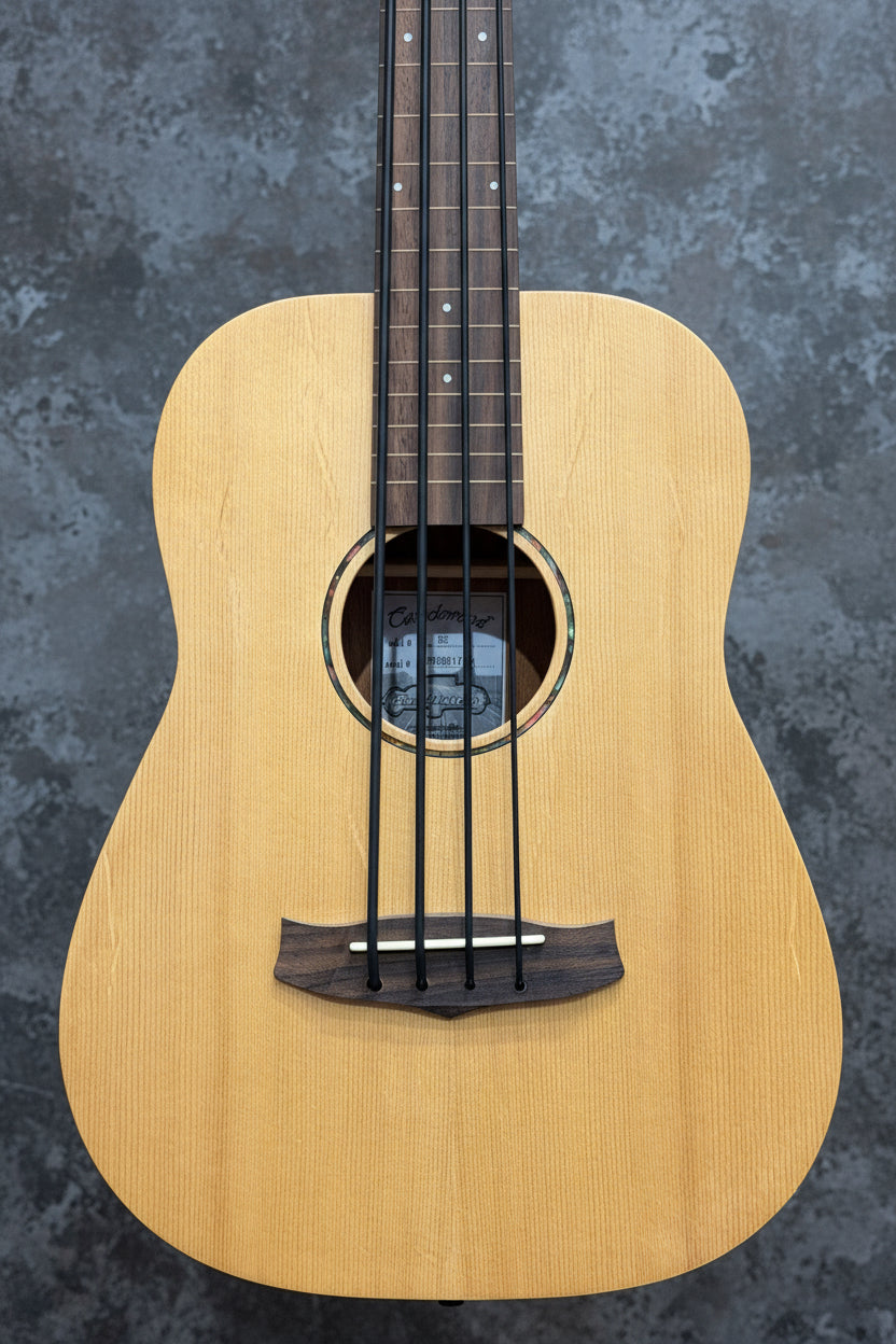 Tanglewood TWR BE Roadster Mini Fretless Bass - Pre-Loved