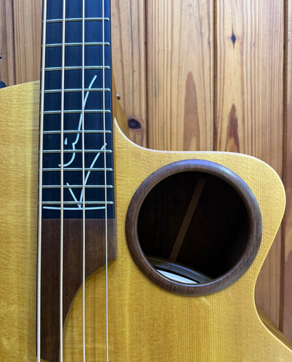 Taylor AB-1 Acoustic Bass w/pickup & Gig Bag - Pre-Loved