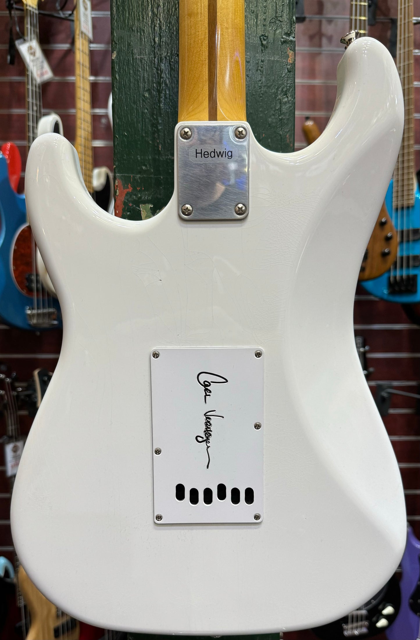 LSL Instruments Carl Verheyen Special Saticoy - Vintage White - 'Hedwig'