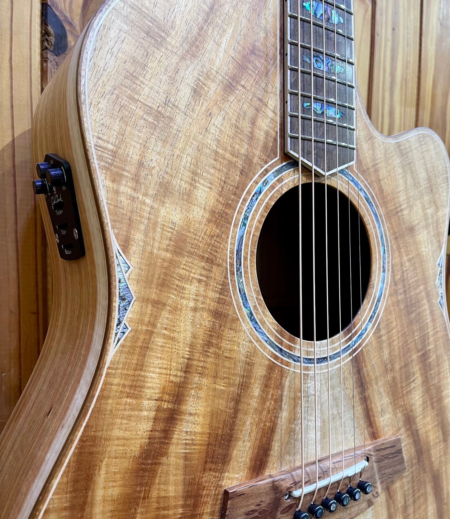 Cole Clark Fat Lady CCFL3EC-BLBL-AE - Blackwood/Blackwood 'Australian Eco'