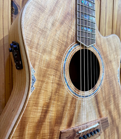 Cole Clark Fat Lady CCFL3EC-BLBL-AE - Blackwood/Blackwood 'Australian Eco'