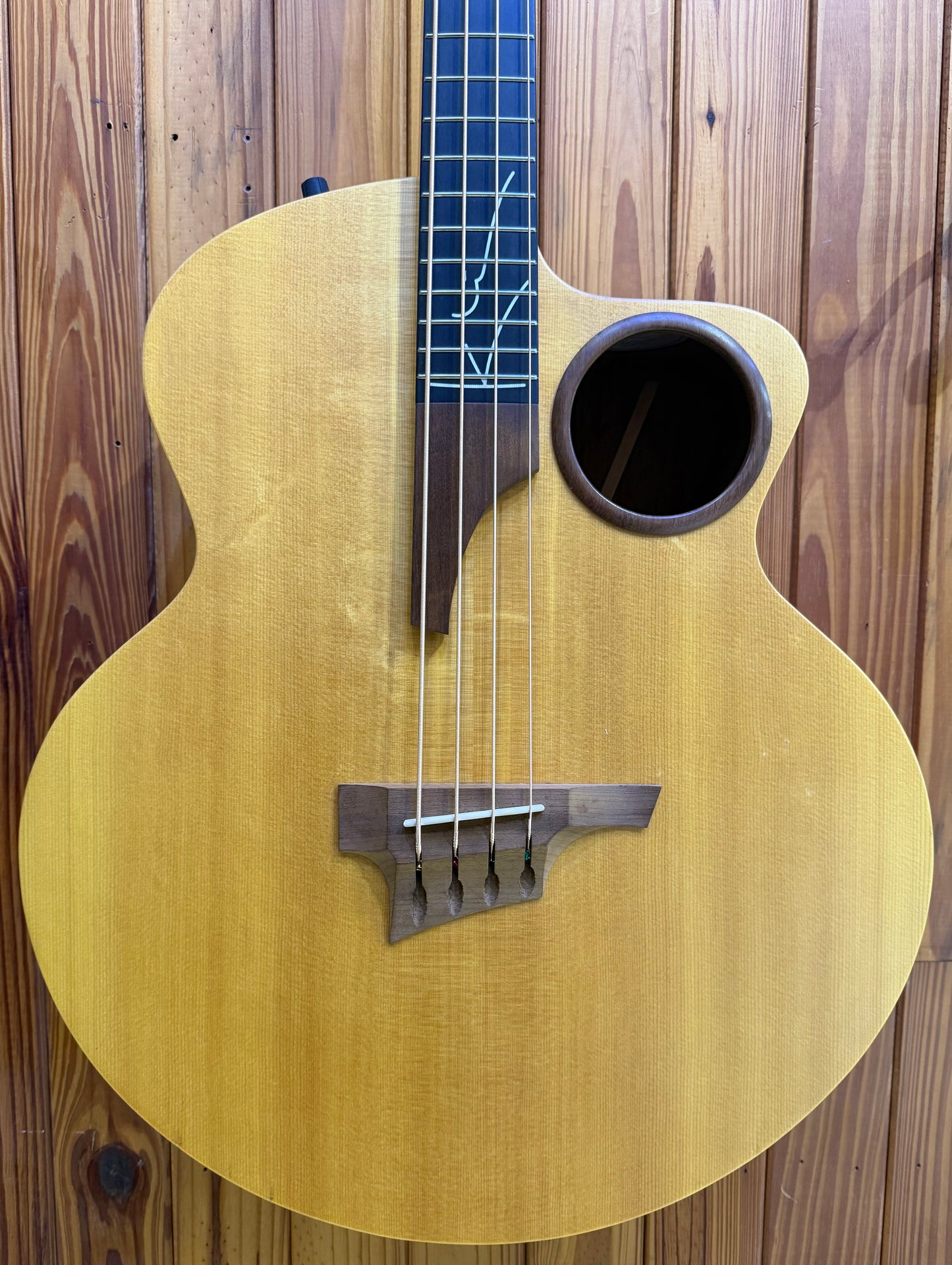 Taylor AB-1 Acoustic Bass w/pickup & Gig Bag - Pre-Loved