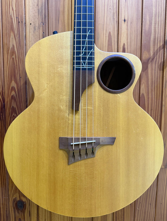 Taylor AB-1 Acoustic Bass w/pickup & Gig Bag - Pre-Loved