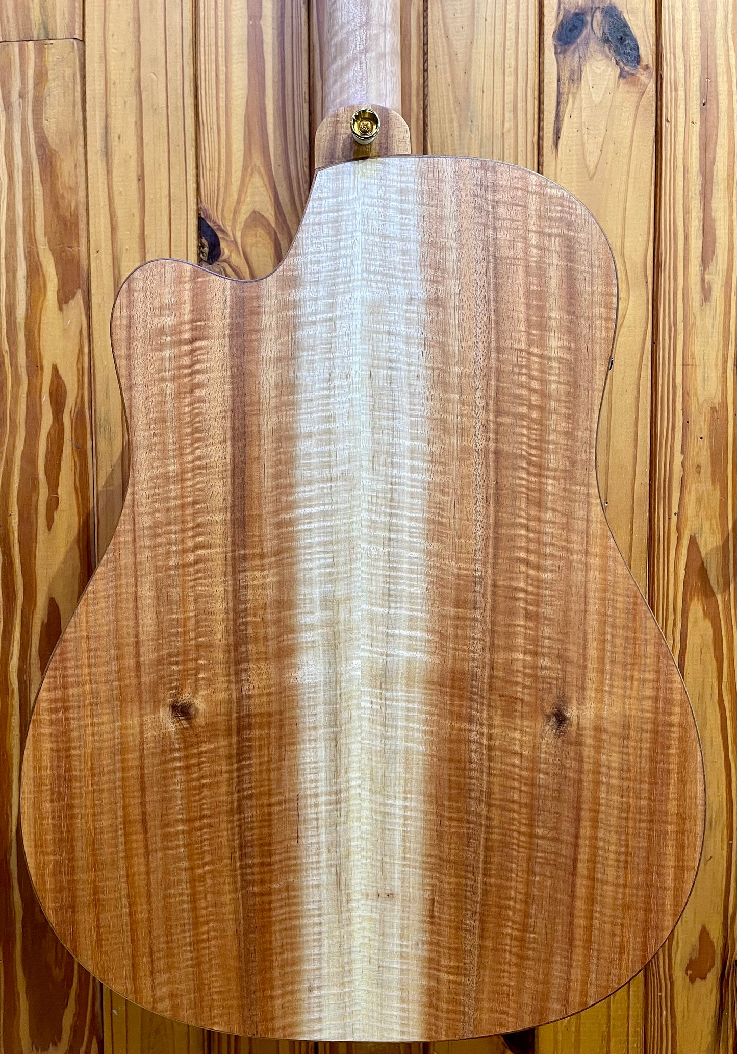 Cole Clark Fat Lady CCFL3EC-BLBL-AE - Blackwood/Blackwood 'Australian Eco'