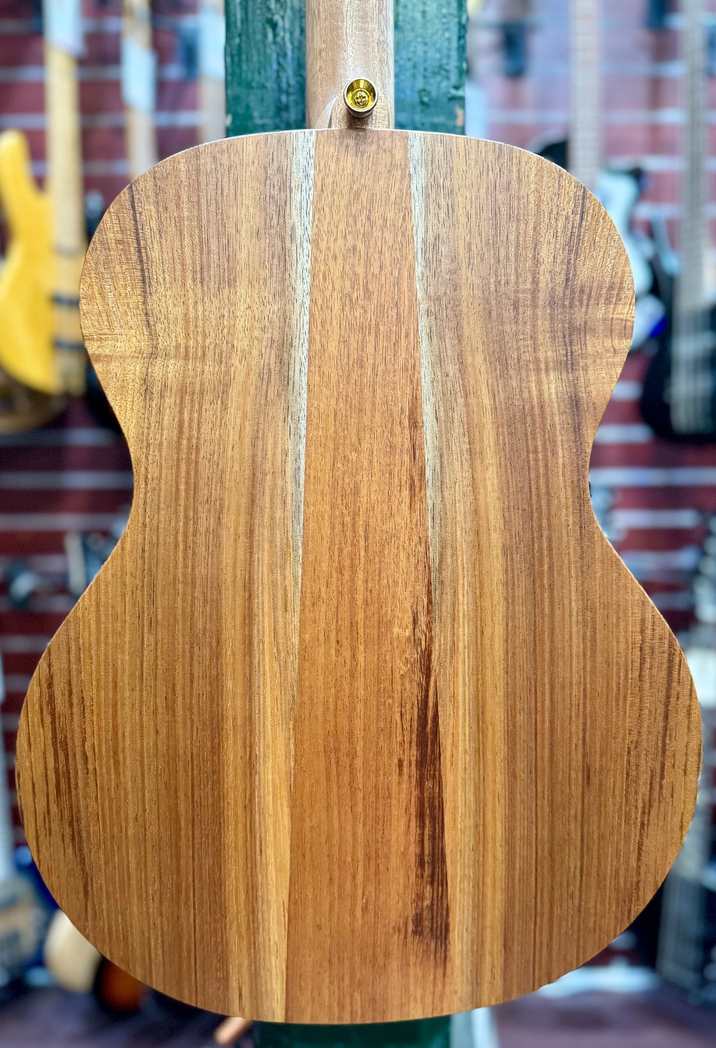 Cole Clark AN2E Angel 2 All Blackwood - Left-Handed