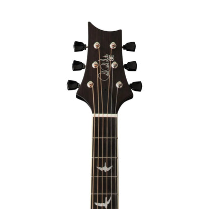 PRS SE P20E Parlour Acoustic - Dog Hair