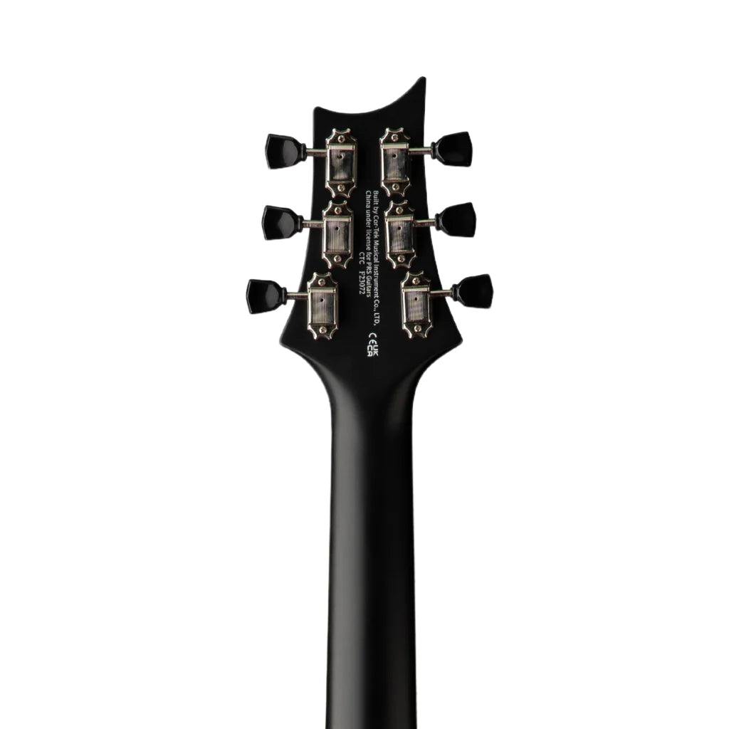 PRS SE P20E Parlour Acoustic - Dog Hair